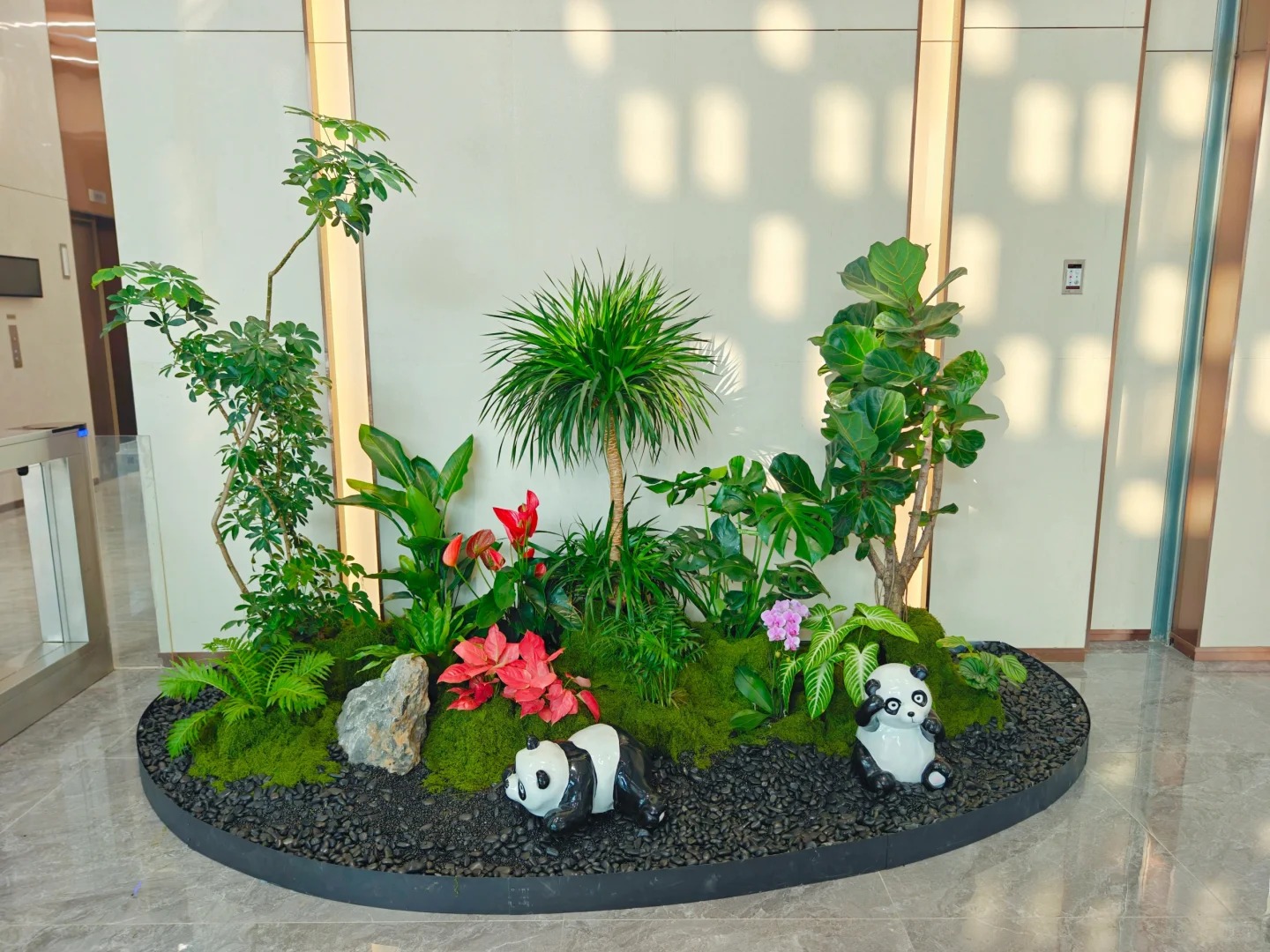 体验宁波江北盆景出租，优质服务超赞！